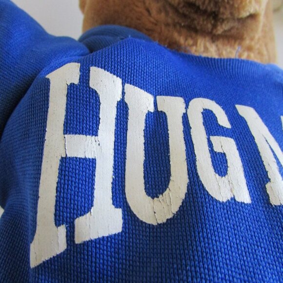 TEDDY BEAR WEARING HOODIE (can come off) 14" long Stuffed Animal PLUSH knit hat - Picture 4 of 12